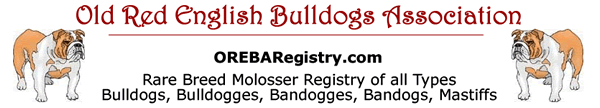 Old Red English Bulldogs Association