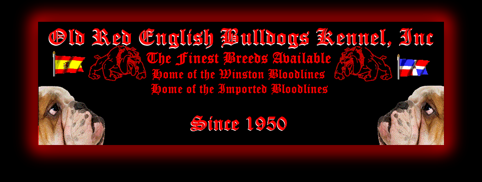 Real Old Bulldogs