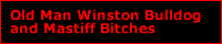 Bulldog Mastiff Bitches