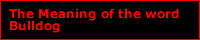 Meaning Of The Word Bulldog