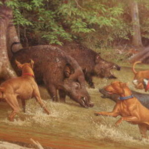 southern-boar-hunt-art-international